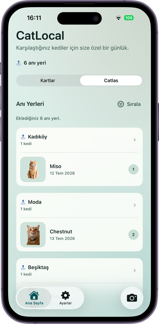 iPhone içindeki CatLocal Catlas ekranında, koleksiyon kartları yazılan Anı Yerlerine göre gruplanmış.
